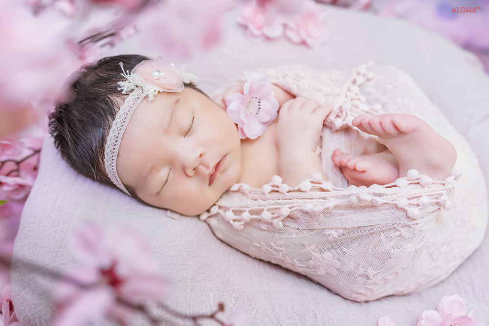 album ảnh newborn 1